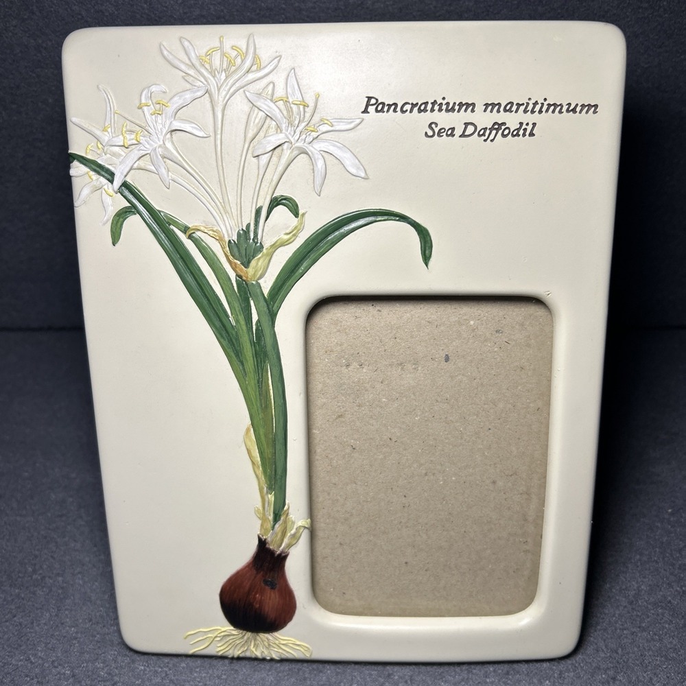 Carr Picture Frame 3.5x5 Botanical Garden Sea Daffodil Floral Frame